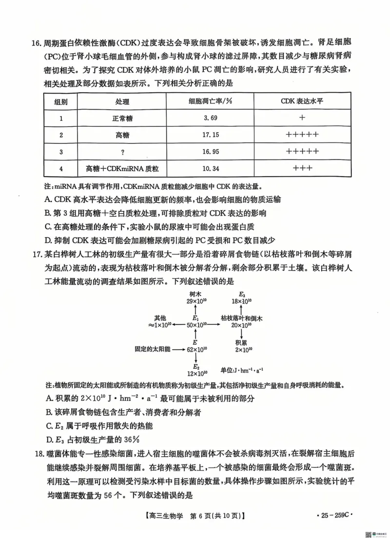 河北省&ldquo;五个一&rdquo;名校联盟2024-2025学年高三上学期12月月考试题生物PDF版含答案_2024-2025高三（6-6月题库）_2024年12月试卷