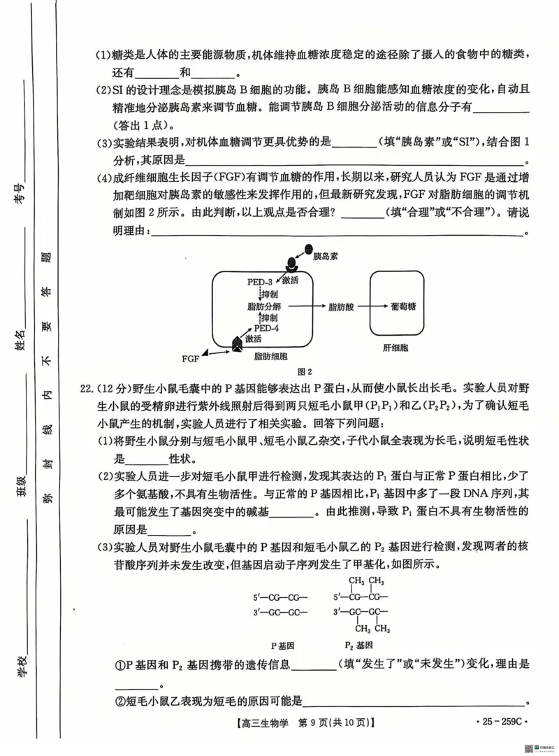 河北省&ldquo;五个一&rdquo;名校联盟2024-2025学年高三上学期12月月考试题生物PDF版含答案_2024-2025高三（6-6月题库）_2024年12月试卷