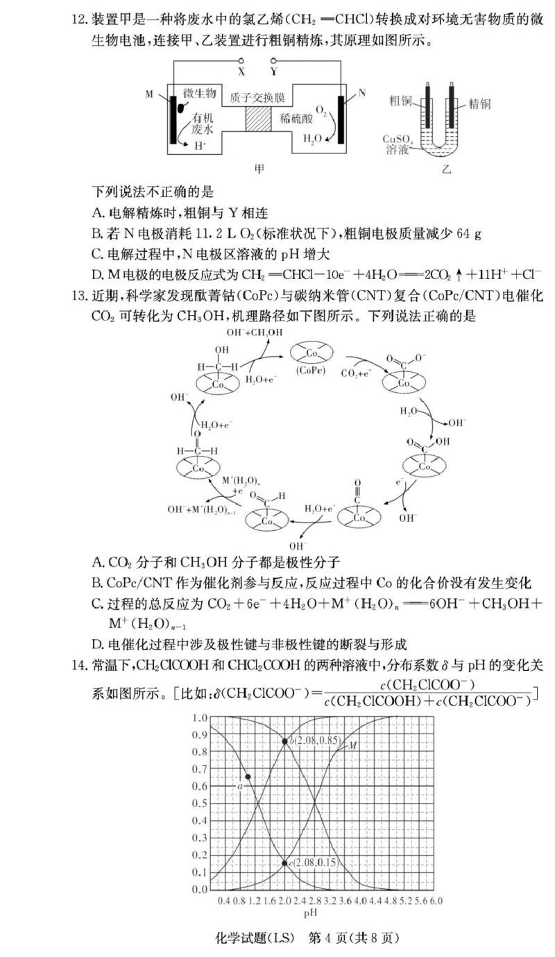 湖南省长沙市麓山国际实验学校2024-2025学年高二下学期第一次学情检测化学试卷（图片版，含答案）_2024-2025高二（7-7月题库）_2025年04月试卷(1)