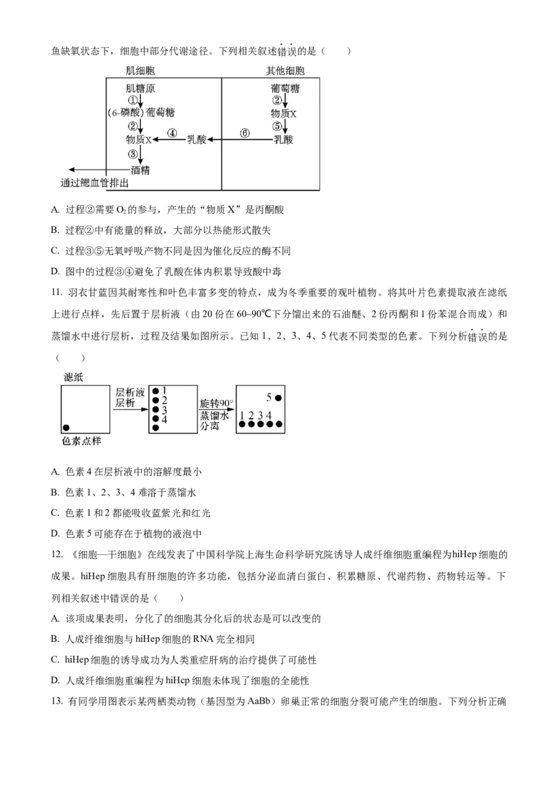 天津市北辰区2023-2024学年高三上学期期中生物试题（原卷版）(1)_2023年11月_0211月合集_2024届天津市北辰区高三上学期第一次联考（期中）