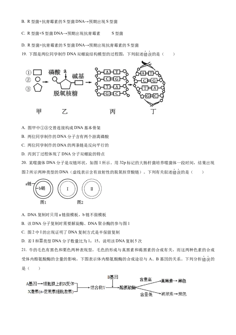 天津市北辰区2023-2024学年高三上学期期中生物试题（原卷版）(1)_2023年11月_0211月合集_2024届天津市北辰区高三上学期第一次联考（期中）