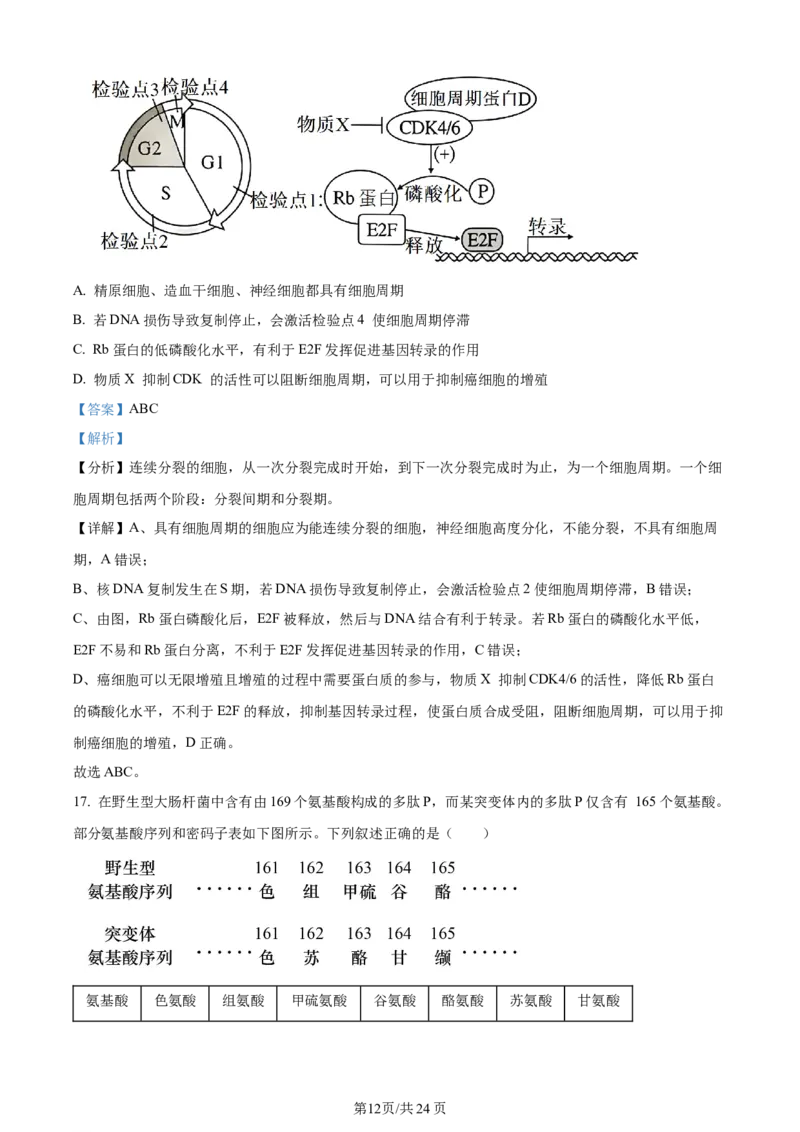 精品解析：江苏省无锡市2023-2024学年高三上学期期中教学质量调研测试生物试题（解析版）(1)_2023年11月_0211月合集_2024届江苏省无锡市高三上学期期中教学质量调研测试