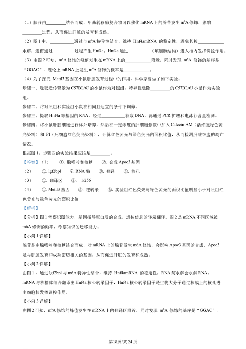 精品解析：江苏省无锡市2023-2024学年高三上学期期中教学质量调研测试生物试题（解析版）(1)_2023年11月_0211月合集_2024届江苏省无锡市高三上学期期中教学质量调研测试