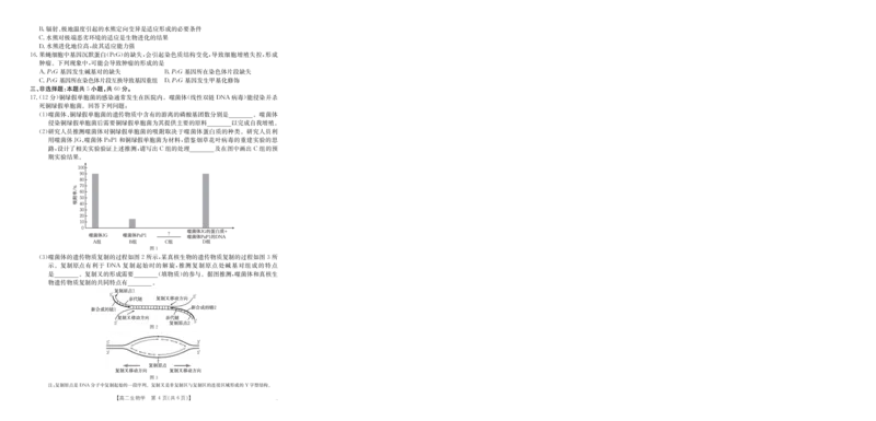 42B_生物学_2025年10月高二试卷_251016河南金太阳大联考2025-2026学年高二上学期10月联考（全）_河南金太阳大联考2025-2026学年高二上学期10月联考生物试题含答案