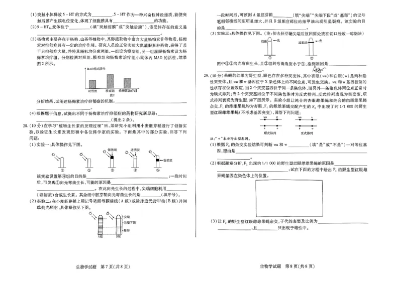 扫描件_生物试卷(1)_2023年11月_0211月合集_2024届河南省天一大联考高三上学期阶段性测试（三）（11月）_河南省天一大联考2024届高三上学期阶段性测试（三）（11月）生物