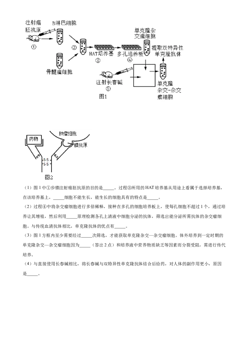 山东省枣庄市滕州市实验高级中学2024-2025学年高二下学期3月月考生物试题（原卷版）_2024-2025高二（7-7月题库）_2025年04月试卷(1)
