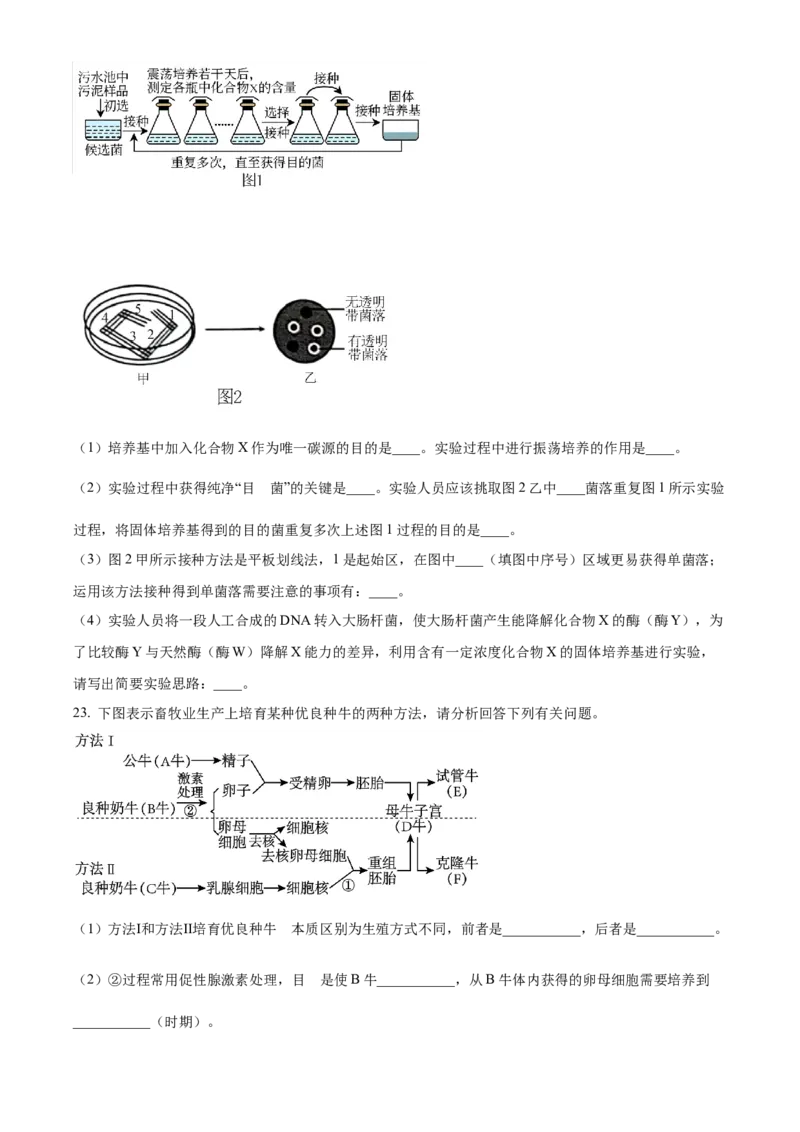 山东省枣庄市滕州市实验高级中学2024-2025学年高二下学期3月月考生物试题（原卷版）_2024-2025高二（7-7月题库）_2025年04月试卷(1)