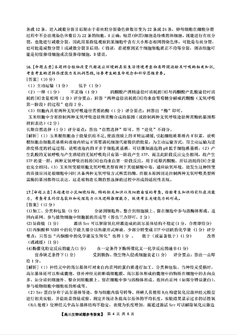 安徽省2025届高三第一次五校联考生物+答案_2024-2025高三（6-6月题库）_2024年11月试卷_1118安徽省2025届高三第一次五校联考（全科）