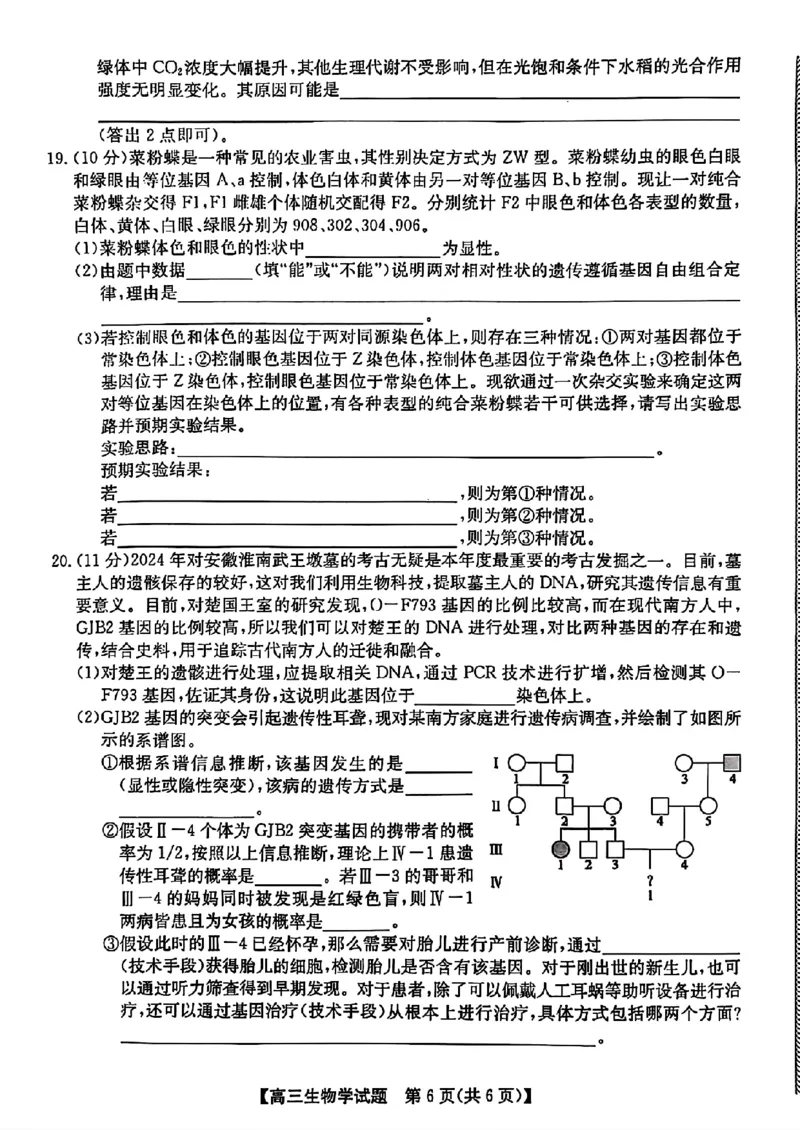 安徽省2025届高三第一次五校联考生物+答案_2024-2025高三（6-6月题库）_2024年11月试卷_1118安徽省2025届高三第一次五校联考（全科）