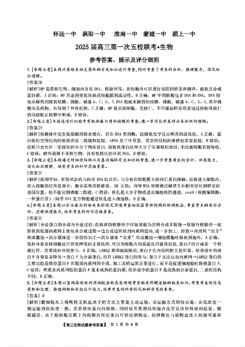 安徽省2025届高三第一次五校联考生物+答案_2024-2025高三（6-6月题库）_2024年11月试卷_1118安徽省2025届高三第一次五校联考（全科）
