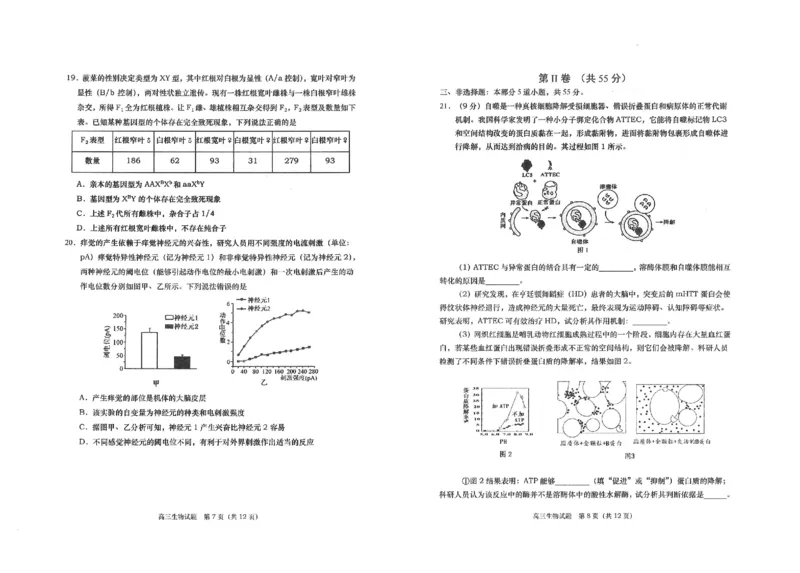 高三生物(1)_2023年11月_0211月合集_2024届山东省青岛市四区统考高三上学期期中_山东省青岛市四区统考2024届高三上学期期中生物
