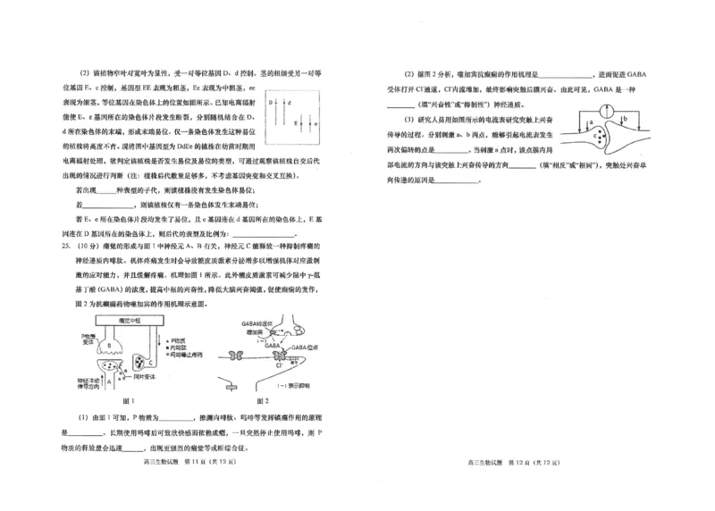 高三生物(1)_2023年11月_0211月合集_2024届山东省青岛市四区统考高三上学期期中_山东省青岛市四区统考2024届高三上学期期中生物