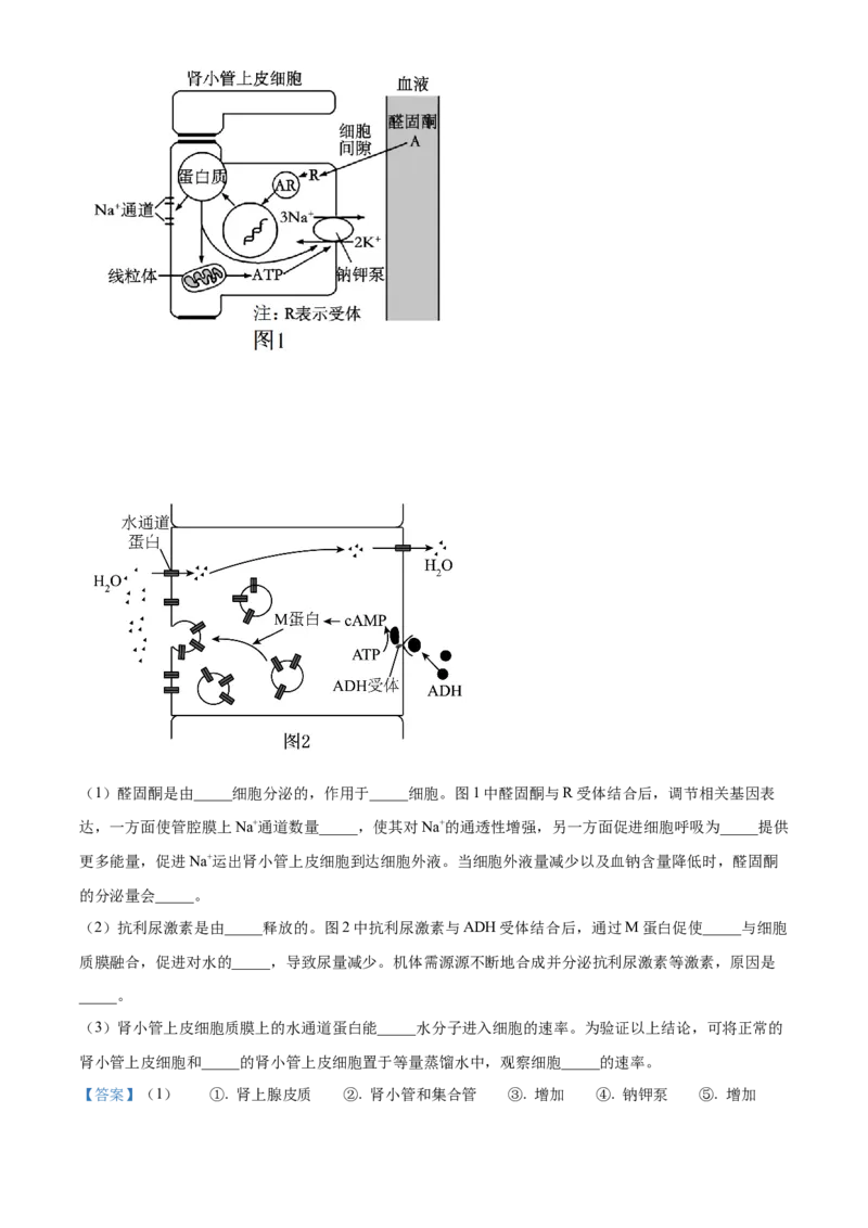 江苏省南京市2024-2025学年高二上学期11月期中生物试题Word版含解析_2024-2025高二（7-7月题库）_2024年11月试卷_1116江苏省南京市2024-2025学年高二上学期期中考试