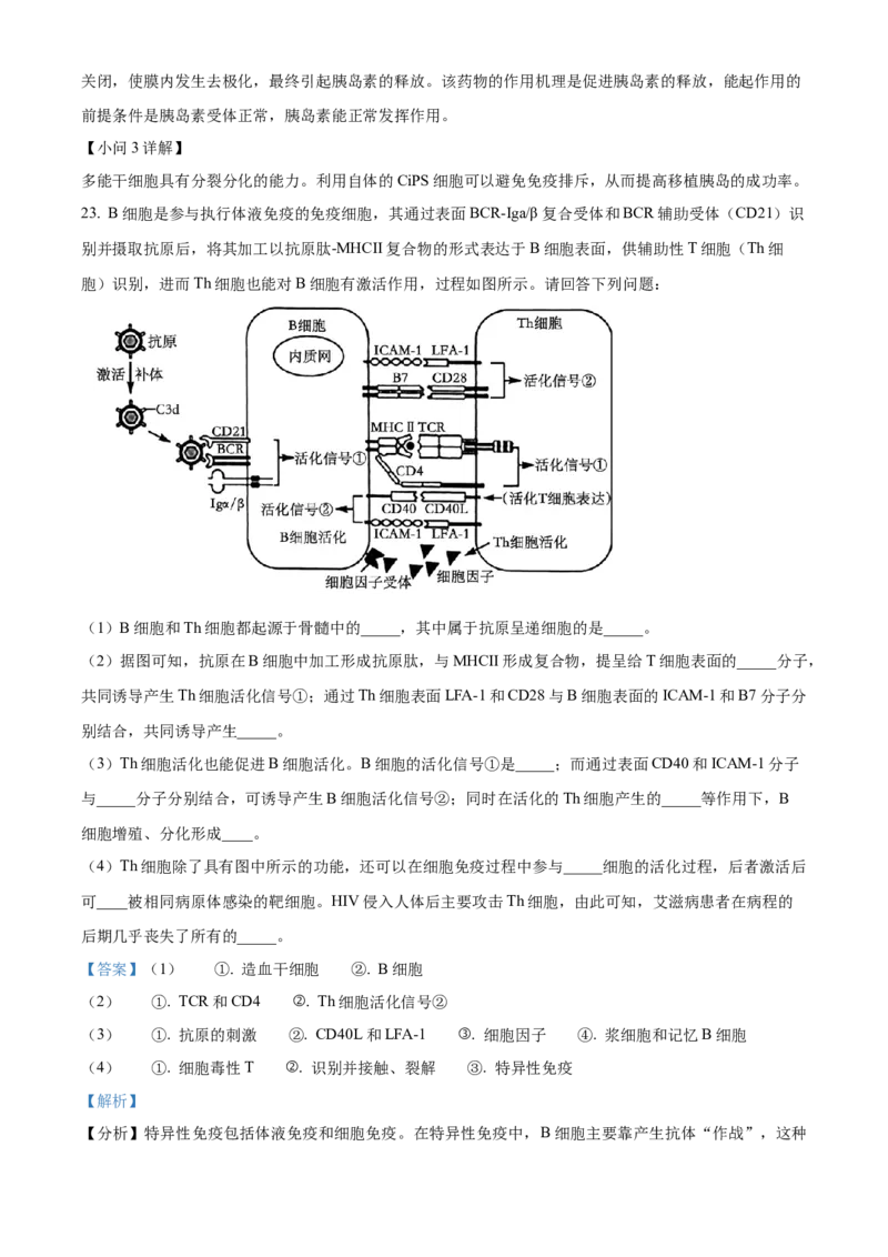 江苏省南京市2024-2025学年高二上学期11月期中生物试题Word版含解析_2024-2025高二（7-7月题库）_2024年11月试卷_1116江苏省南京市2024-2025学年高二上学期期中考试