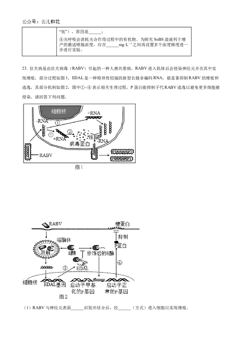 江苏省南通市2024-2025学年高二上学期10月调研测试生物Word版含答案_2024-2025高二（7-7月题库）_2024年10月试卷_1031江苏省南通市2024-2025学年高二上学期10月调研测试