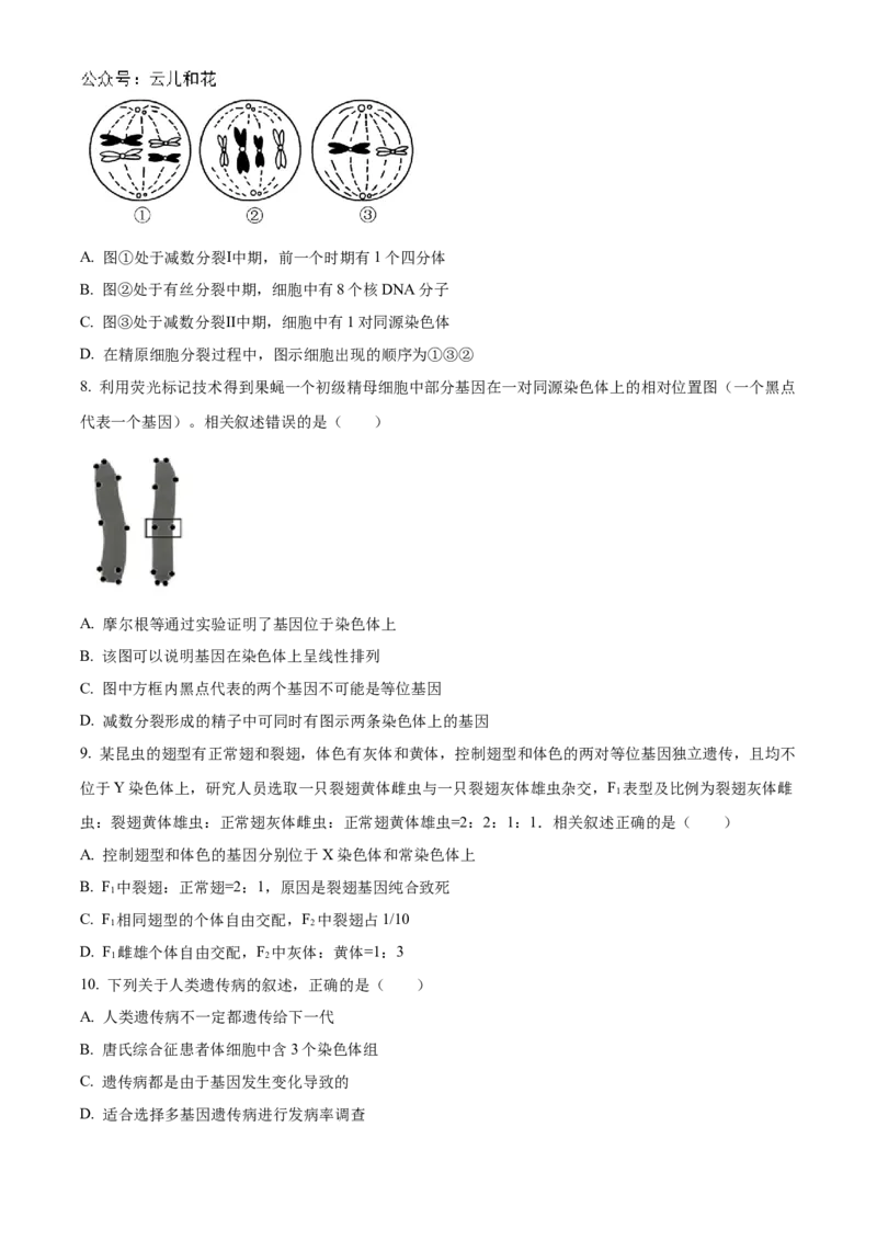 江苏省南通市2024-2025学年高二上学期10月调研测试生物Word版含答案_2024-2025高二（7-7月题库）_2024年10月试卷_1031江苏省南通市2024-2025学年高二上学期10月调研测试