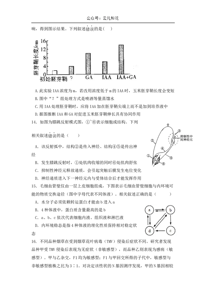 广东省台山市第一中学2024-2025学年高二上学期11月期中考试生物试题_2024-2025高二（7-7月题库）_2024年11月试卷_1128广东省台山市第一中学2024-2025学年高二上学期11月期中考试
