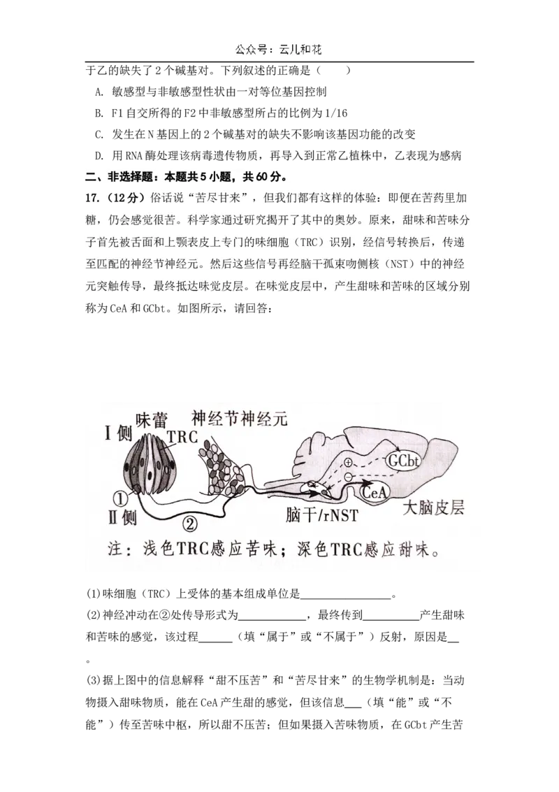 广东省台山市第一中学2024-2025学年高二上学期11月期中考试生物试题_2024-2025高二（7-7月题库）_2024年11月试卷_1128广东省台山市第一中学2024-2025学年高二上学期11月期中考试