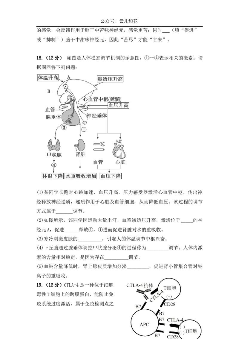 广东省台山市第一中学2024-2025学年高二上学期11月期中考试生物试题_2024-2025高二（7-7月题库）_2024年11月试卷_1128广东省台山市第一中学2024-2025学年高二上学期11月期中考试