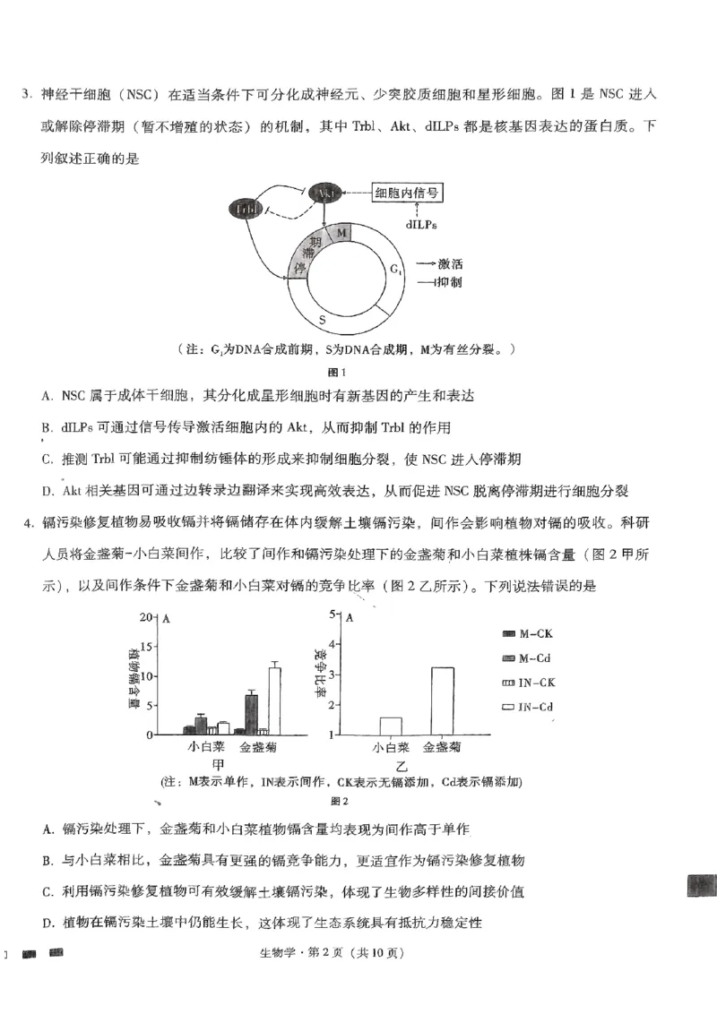 生物试题_2024年5月_01按日期_30号_2024届重庆市巴蜀中学高三5月适应性月考卷（十）_重庆市巴蜀中学2024届高三年级下学期5月适应性月考卷（十）生物