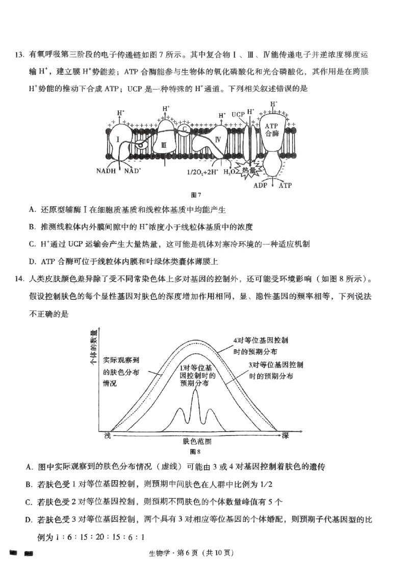 生物试题_2024年5月_01按日期_30号_2024届重庆市巴蜀中学高三5月适应性月考卷（十）_重庆市巴蜀中学2024届高三年级下学期5月适应性月考卷（十）生物