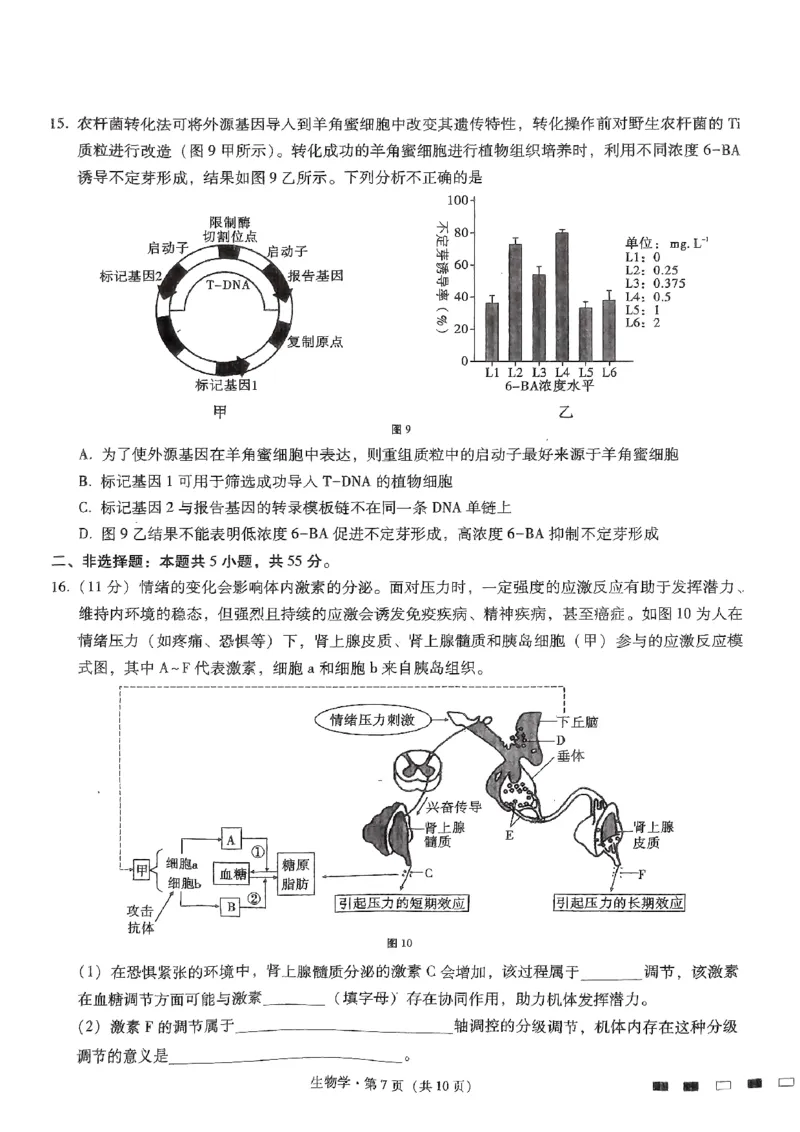 生物试题_2024年5月_01按日期_30号_2024届重庆市巴蜀中学高三5月适应性月考卷（十）_重庆市巴蜀中学2024届高三年级下学期5月适应性月考卷（十）生物
