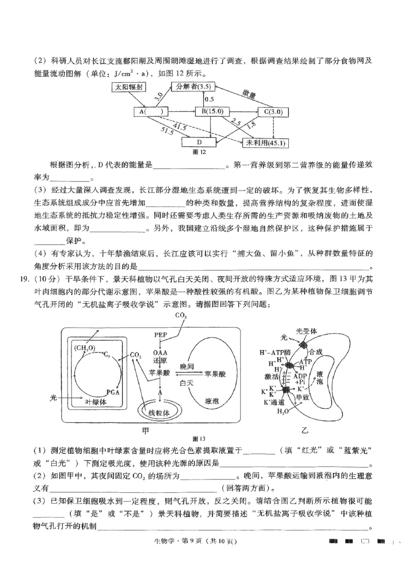 生物试题_2024年5月_01按日期_30号_2024届重庆市巴蜀中学高三5月适应性月考卷（十）_重庆市巴蜀中学2024届高三年级下学期5月适应性月考卷（十）生物