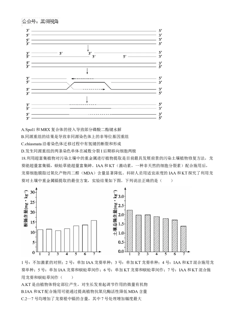 山东省德州市2024-2025学年高三上学期开学考试生物试题（含答案）_2024-2025高三（6-6月题库）_2024年09月试卷_0904山东省德州市2025届高三上学期开学考(优高联考)