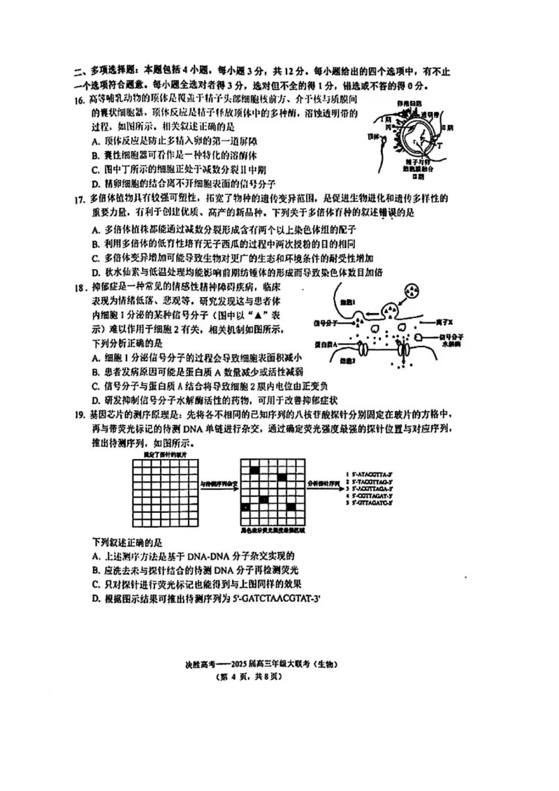 江苏省苏州市九校决胜高考2025届高三2月联考-生物试卷_2024-2025高三（6-6月题库）_2025年02月试卷_0222江苏省苏州市九校决胜高考2025届高三2月联考（2.17-2.18）