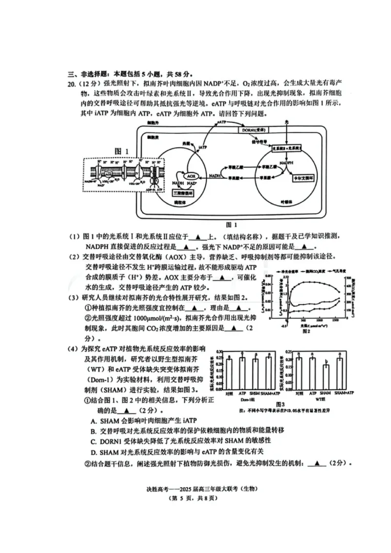 江苏省苏州市九校决胜高考2025届高三2月联考-生物试卷_2024-2025高三（6-6月题库）_2025年02月试卷_0222江苏省苏州市九校决胜高考2025届高三2月联考（2.17-2.18）