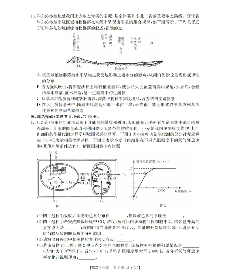 湖南省2025-2026学年高二上学期12月联考（26-201B）生物_2024-2025高二（7-7月题库）_2026年1月高二_260120金太阳&middot;湖南省2025-2026学年高二上学期12月联考（26-201B）（全）