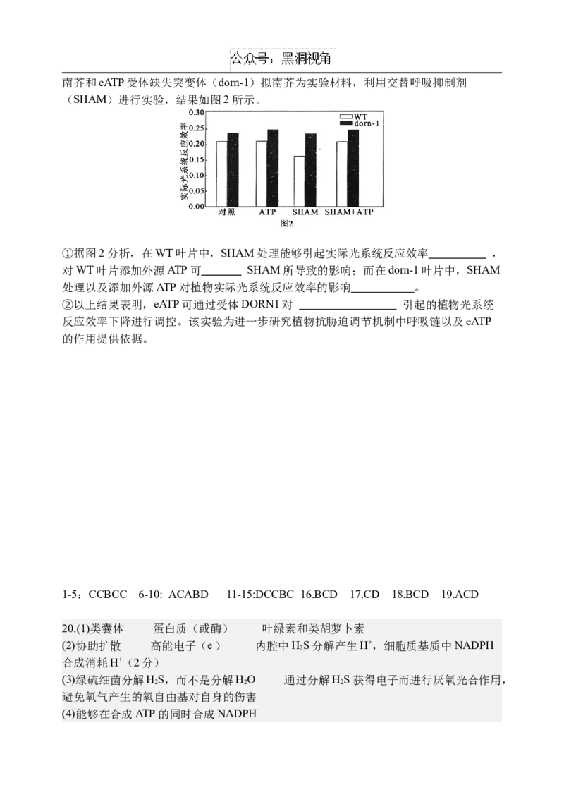 江苏省扬州中学2024-2025学年高三上学期8月开学考试生物Word版含答案_2024-2025高三（6-6月题库）_2024年09月试卷_0904江苏省扬州中学2024-2025学年高三上学期8月开学考试