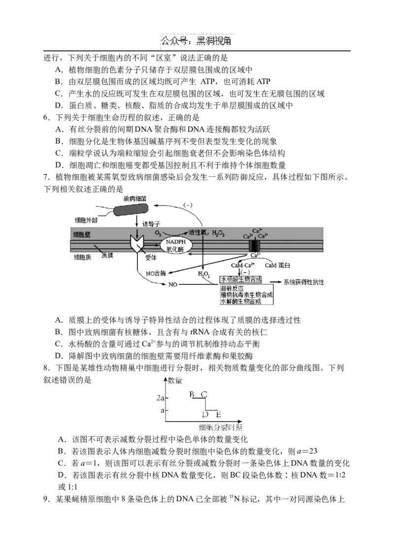 江苏省扬州中学2024-2025学年高三上学期8月开学考试生物Word版含答案_2024-2025高三（6-6月题库）_2024年09月试卷_0904江苏省扬州中学2024-2025学年高三上学期8月开学考试