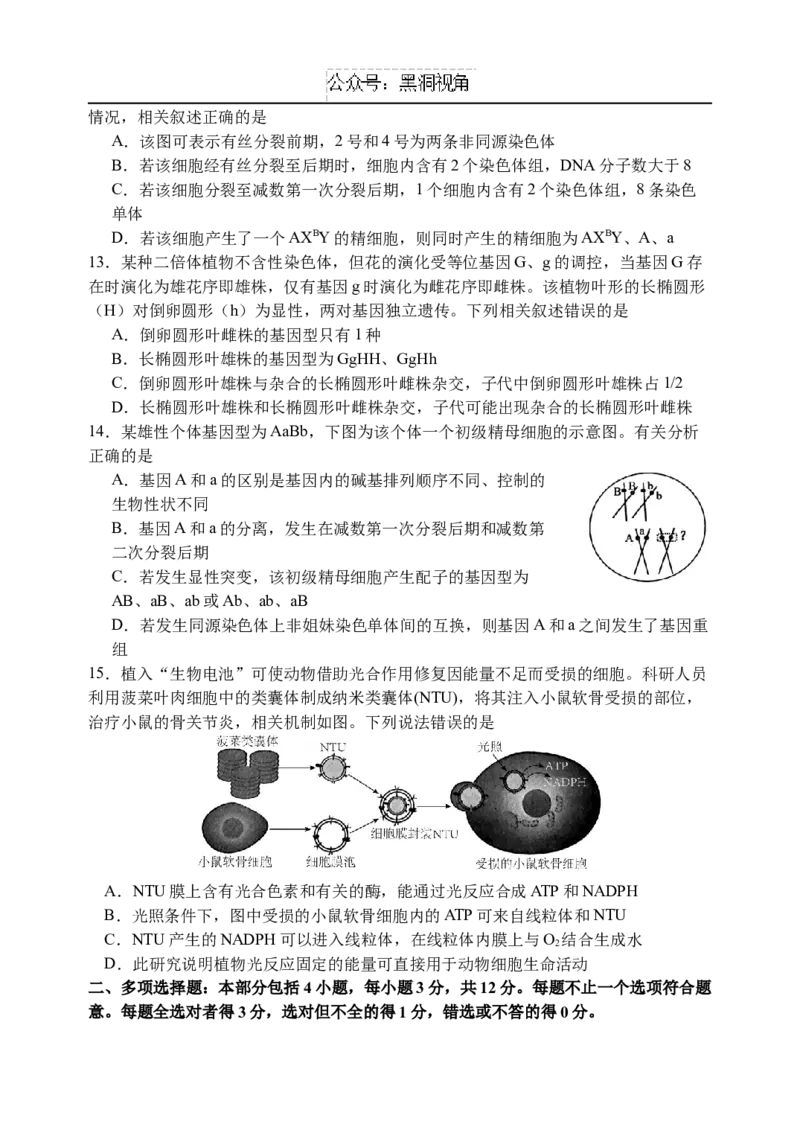 江苏省扬州中学2024-2025学年高三上学期8月开学考试生物Word版含答案_2024-2025高三（6-6月题库）_2024年09月试卷_0904江苏省扬州中学2024-2025学年高三上学期8月开学考试