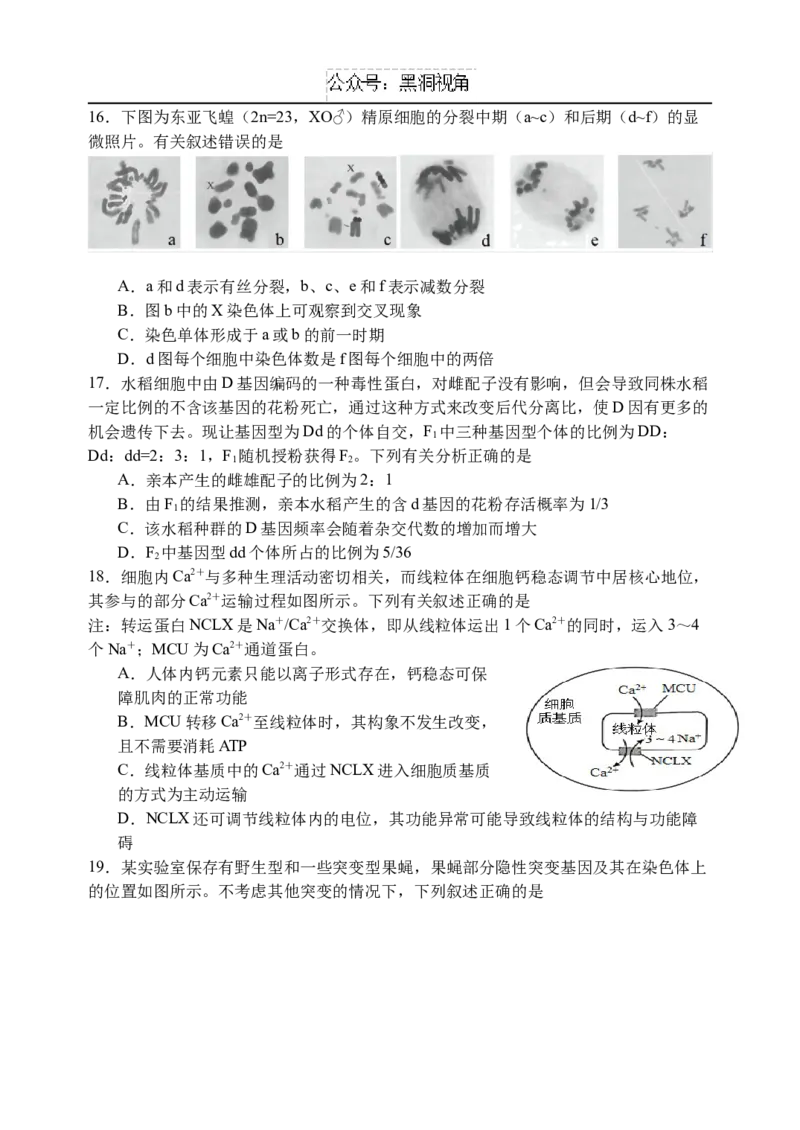 江苏省扬州中学2024-2025学年高三上学期8月开学考试生物Word版含答案_2024-2025高三（6-6月题库）_2024年09月试卷_0904江苏省扬州中学2024-2025学年高三上学期8月开学考试