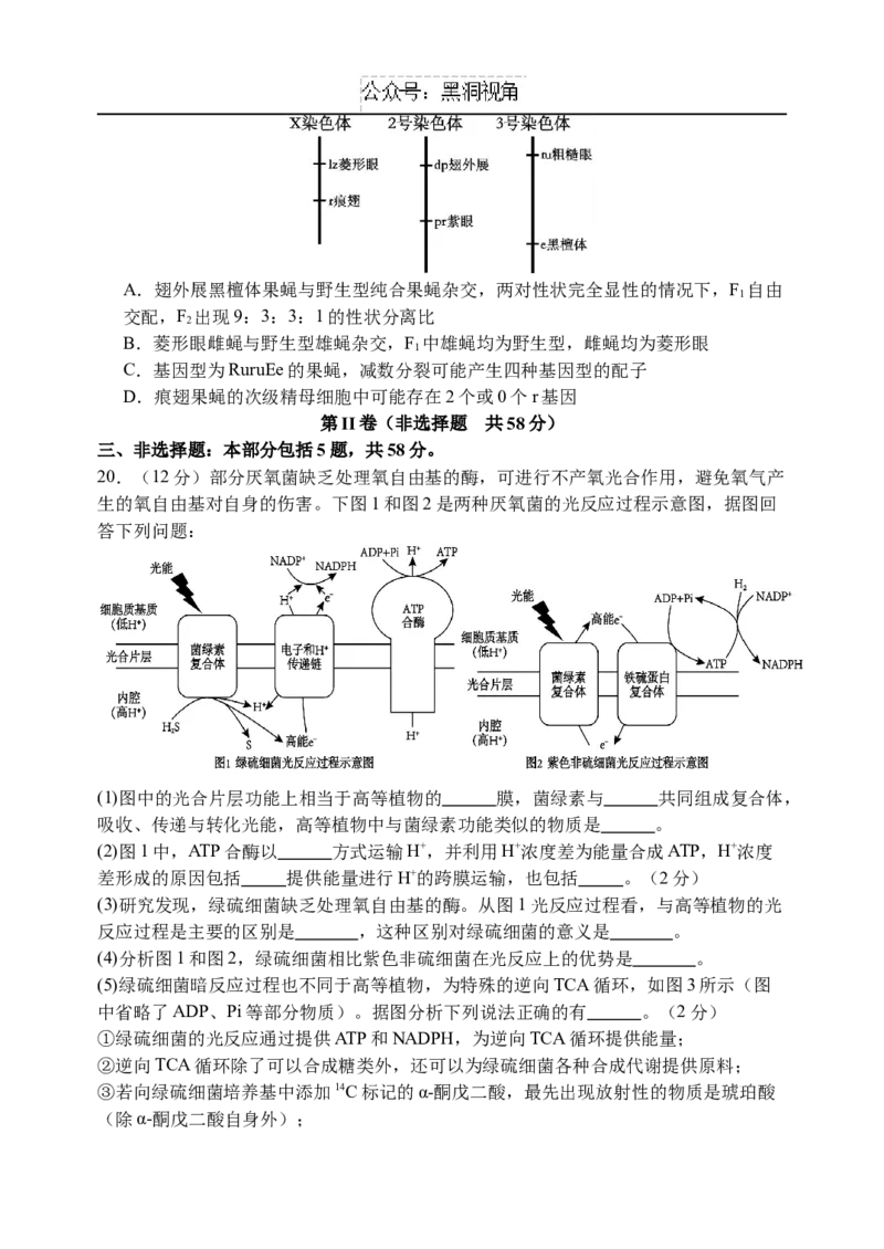 江苏省扬州中学2024-2025学年高三上学期8月开学考试生物Word版含答案_2024-2025高三（6-6月题库）_2024年09月试卷_0904江苏省扬州中学2024-2025学年高三上学期8月开学考试