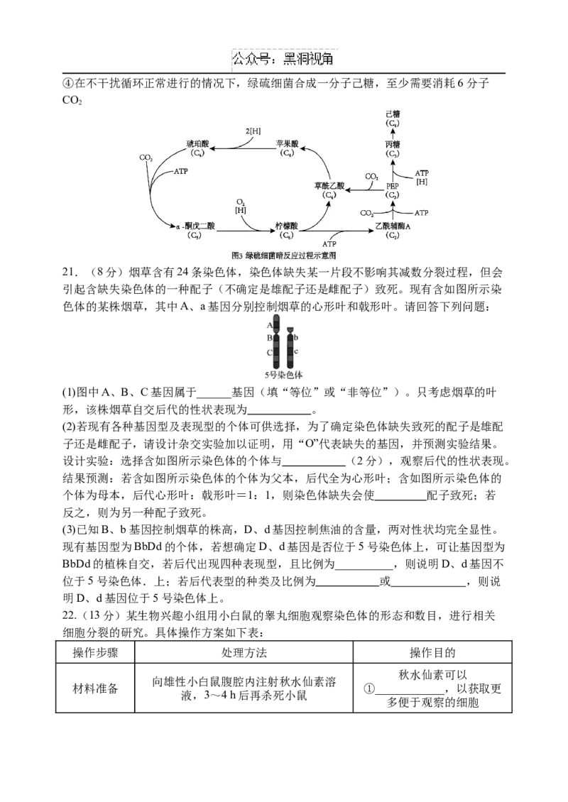 江苏省扬州中学2024-2025学年高三上学期8月开学考试生物Word版含答案_2024-2025高三（6-6月题库）_2024年09月试卷_0904江苏省扬州中学2024-2025学年高三上学期8月开学考试