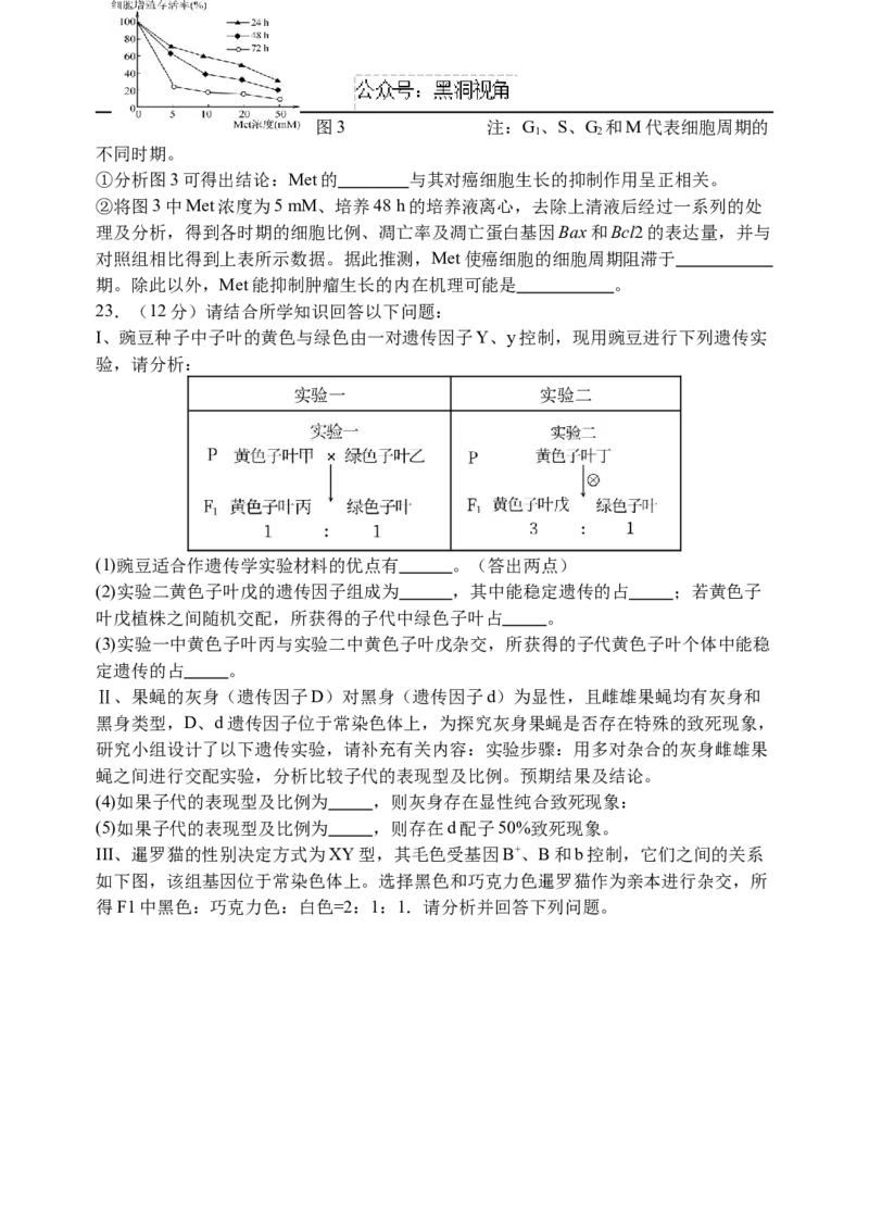 江苏省扬州中学2024-2025学年高三上学期8月开学考试生物Word版含答案_2024-2025高三（6-6月题库）_2024年09月试卷_0904江苏省扬州中学2024-2025学年高三上学期8月开学考试