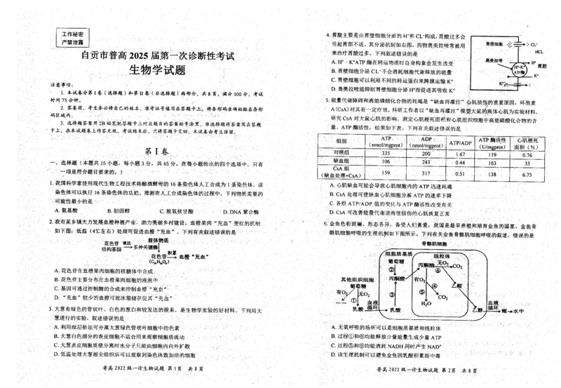 四川省自贡市普高2025届第一次诊断性考试生物_2024-2025高三（6-6月题库）_2024年12月试卷_1204四川省自贡市普高2025届第一次诊断性考试