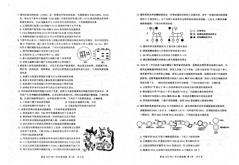 四川省自贡市普高2025届第一次诊断性考试生物_2024-2025高三（6-6月题库）_2024年12月试卷_1204四川省自贡市普高2025届第一次诊断性考试