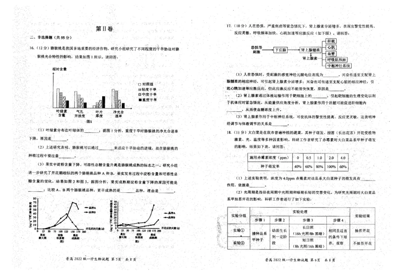 四川省自贡市普高2025届第一次诊断性考试生物_2024-2025高三（6-6月题库）_2024年12月试卷_1204四川省自贡市普高2025届第一次诊断性考试