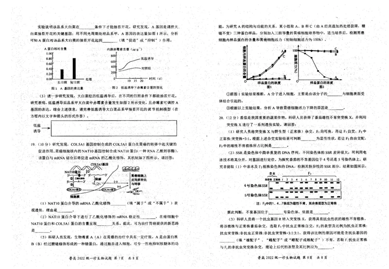 四川省自贡市普高2025届第一次诊断性考试生物_2024-2025高三（6-6月题库）_2024年12月试卷_1204四川省自贡市普高2025届第一次诊断性考试