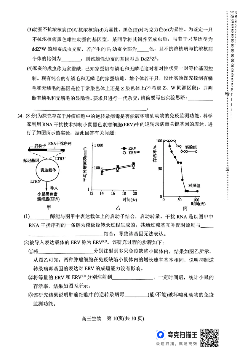河南省南阳市2024-2025学年高三上学期11月期中考试生物试题_2024-2025高三（6-6月题库）_2024年11月试卷_1114河南省南阳市2024-2025学年高三上学期11月期中考试