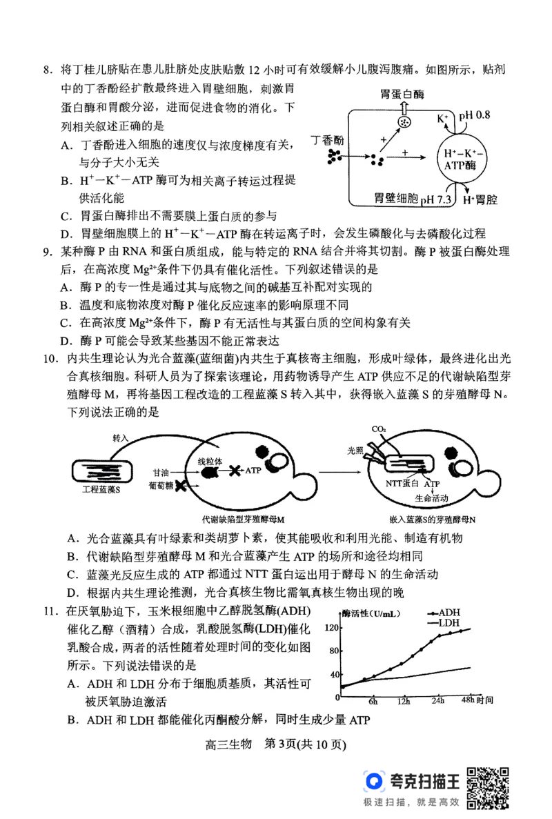 河南省南阳市2024-2025学年高三上学期11月期中考试生物试题_2024-2025高三（6-6月题库）_2024年11月试卷_1114河南省南阳市2024-2025学年高三上学期11月期中考试
