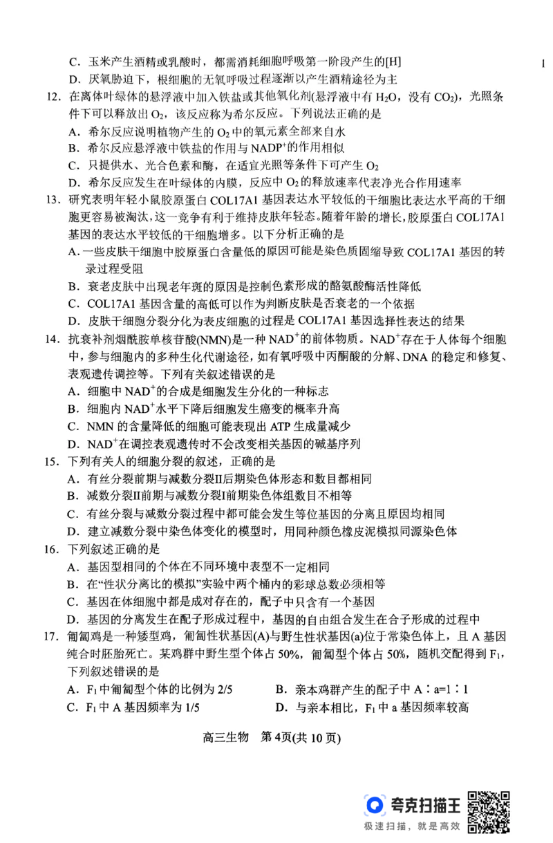 河南省南阳市2024-2025学年高三上学期11月期中考试生物试题_2024-2025高三（6-6月题库）_2024年11月试卷_1114河南省南阳市2024-2025学年高三上学期11月期中考试