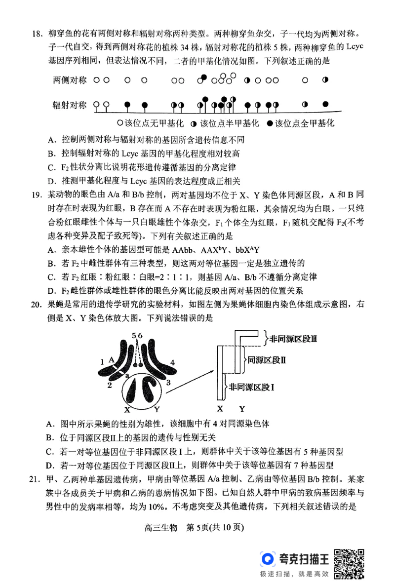 河南省南阳市2024-2025学年高三上学期11月期中考试生物试题_2024-2025高三（6-6月题库）_2024年11月试卷_1114河南省南阳市2024-2025学年高三上学期11月期中考试