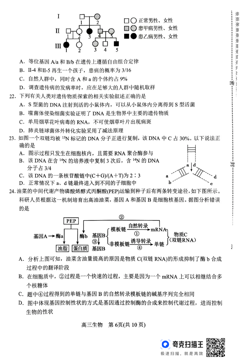 河南省南阳市2024-2025学年高三上学期11月期中考试生物试题_2024-2025高三（6-6月题库）_2024年11月试卷_1114河南省南阳市2024-2025学年高三上学期11月期中考试
