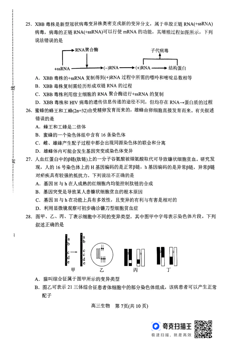 河南省南阳市2024-2025学年高三上学期11月期中考试生物试题_2024-2025高三（6-6月题库）_2024年11月试卷_1114河南省南阳市2024-2025学年高三上学期11月期中考试