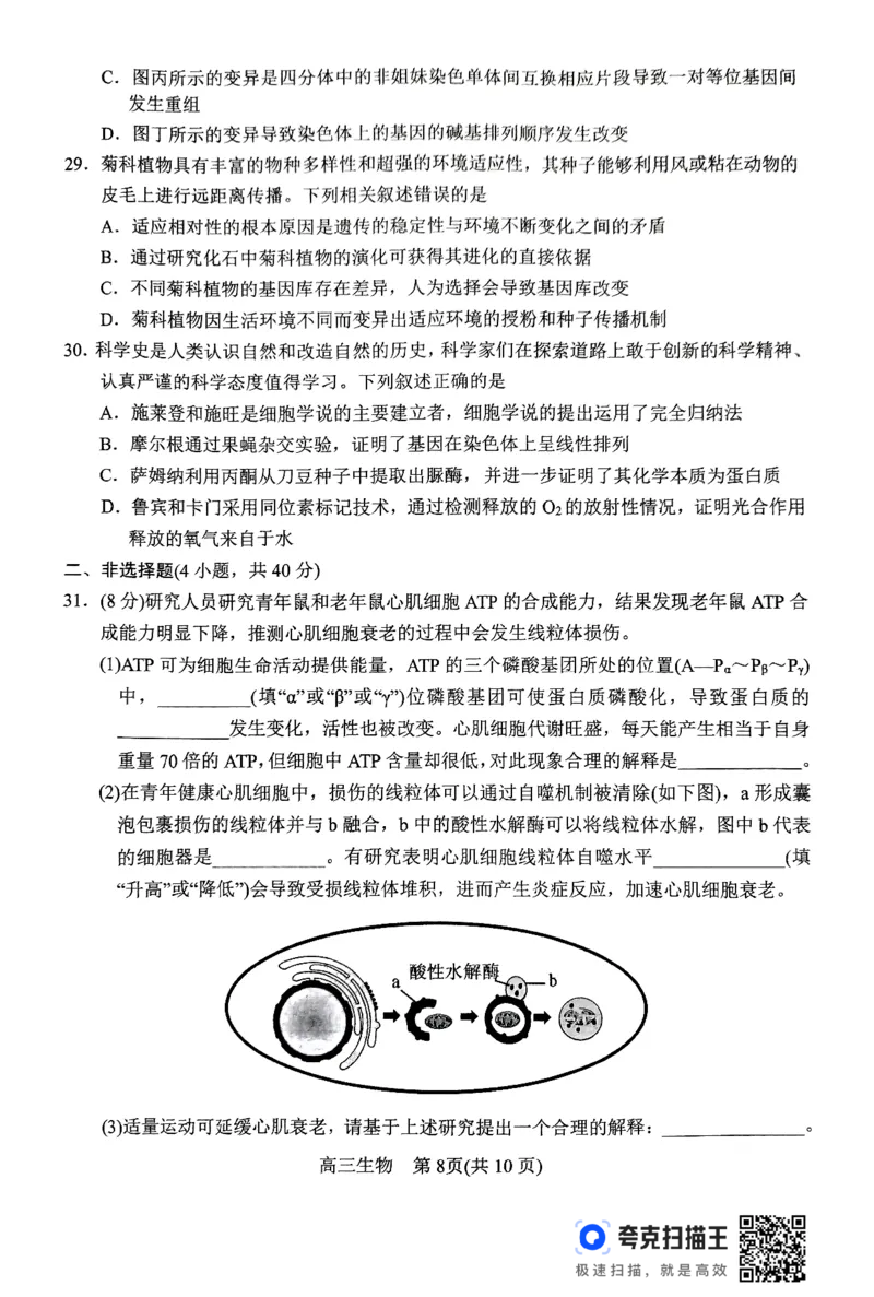河南省南阳市2024-2025学年高三上学期11月期中考试生物试题_2024-2025高三（6-6月题库）_2024年11月试卷_1114河南省南阳市2024-2025学年高三上学期11月期中考试