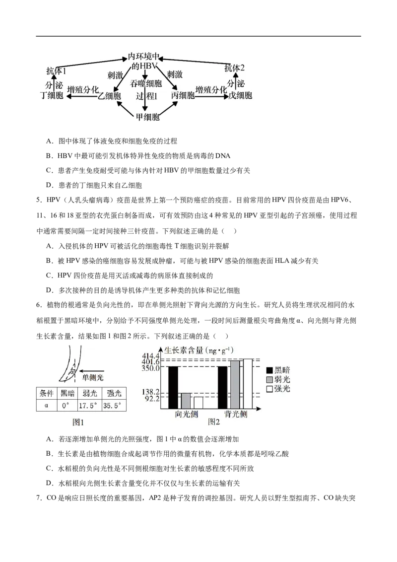 湖北省宜昌市部分省级示范高中2024-2025学高二下学期期中考试生物试卷（有答案）_2024-2025高二（7-7月题库）_2025年05月试卷